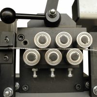 DSCN5334bearb-scaled