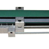 ZVPL-A4BAbearb-scaled